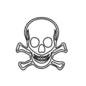 web directory morte
